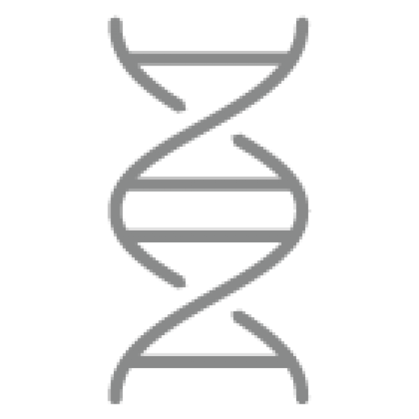 <b>Genetik</b><br><em>Genetics</em>