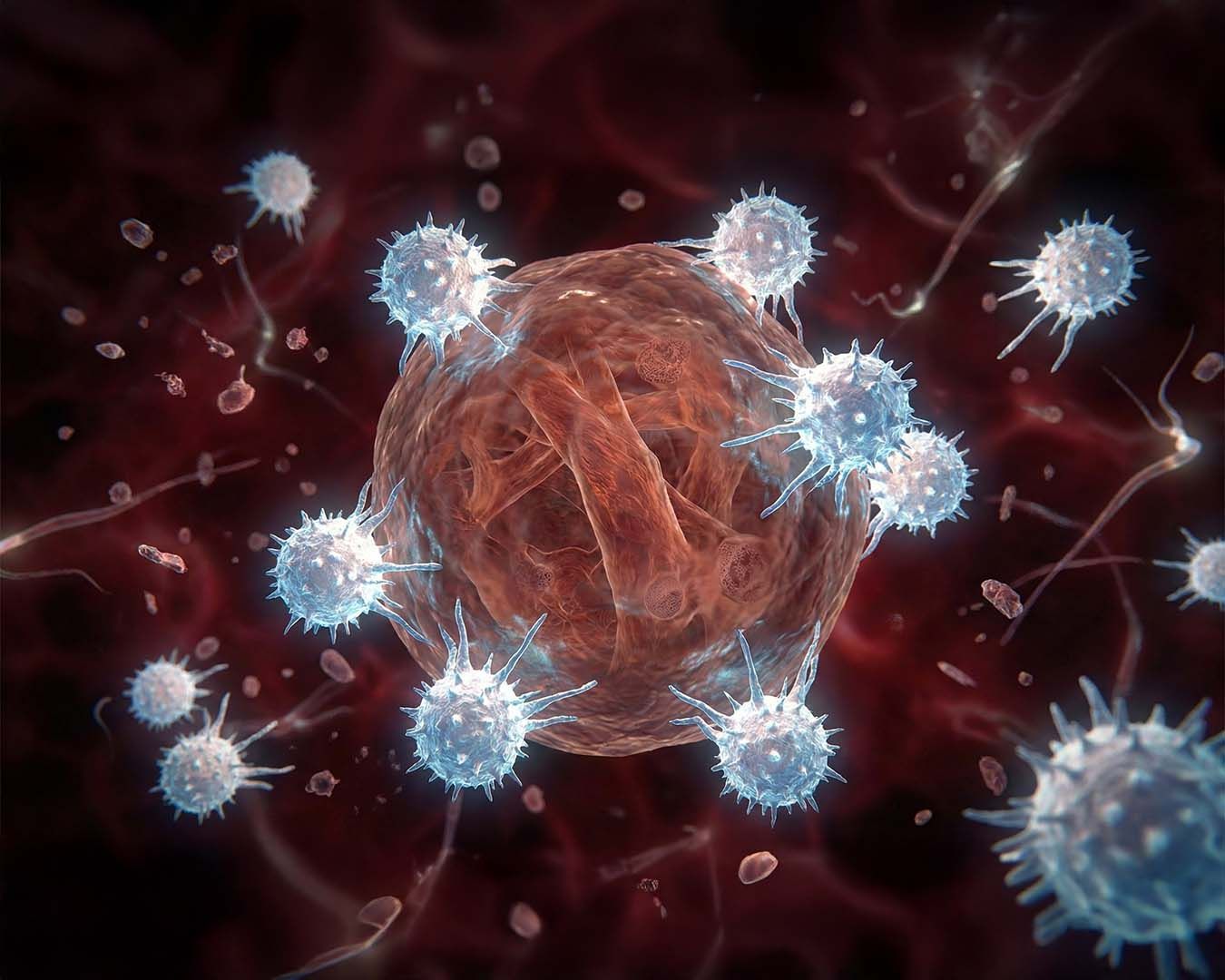 Kanseri Domuz Sanıp Saldıran Bağışıklık Sistemi: %90 Başarılı!