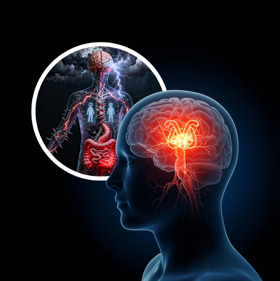 Erken Yaşta Yaşanan Stres: Bağırsak ve Beyni Yeniden Şekillendiriyor