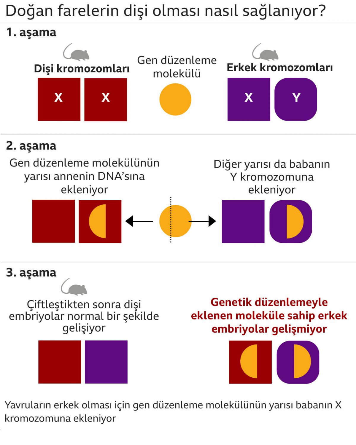 gen-du-zenleme-teknolojisi