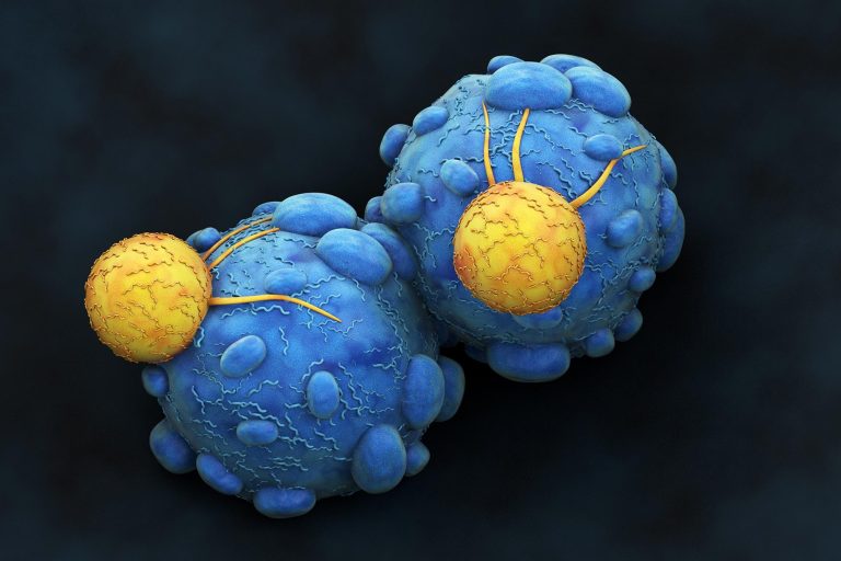 Kanser tedavisinde tümöre saldıran T hücrelerini "güçlendirmenin" bir yolu bulundu