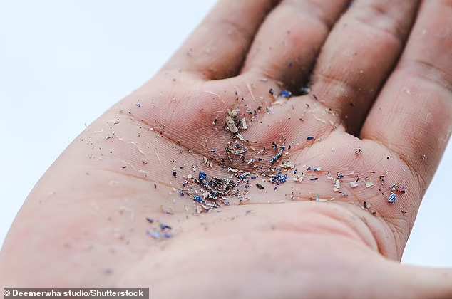 55744623-10647295-microplastics_are_tiny_pieces_of_plastic_less_than_0_2_of_an_inc-a-20_1648120486470