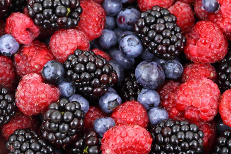 blackberries-raspberries-blueberries-777x518